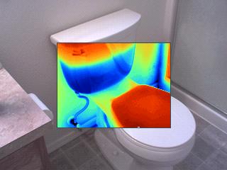 Thermal scan in a Salem OR home inspection, Oregon,Marion county inspections,Polk,Yahmill,inspector,infrared,willamette valley,mold,radon,pest and dry rot